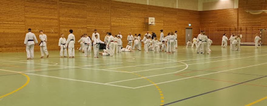 Neskollen hall