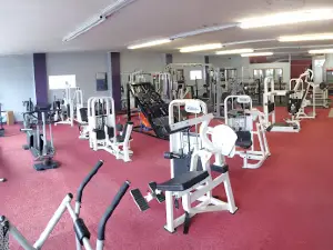 In Shape
