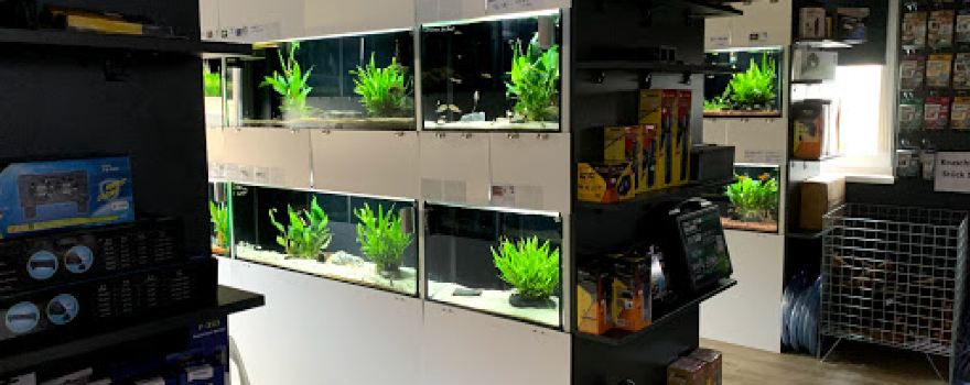 Fishtopia