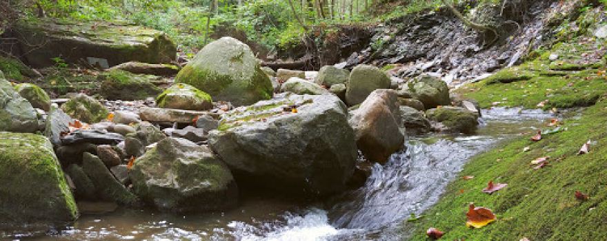 Camp Charles Campgrounds