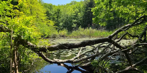 Wilson Mountain Reservation