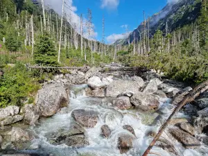 Great Cold Valley