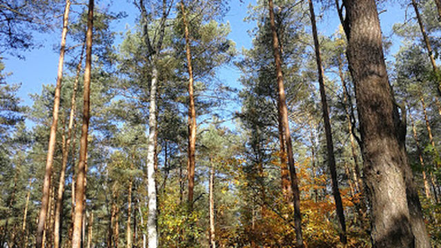 Polana Rekreacyjna "Jakubów"