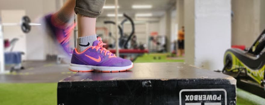 Vilafit