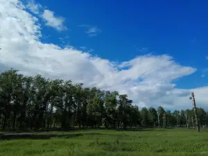 Парк им. Ю.А. Гагарина