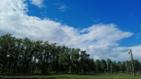 Park Im. Yu.a. Gagarina