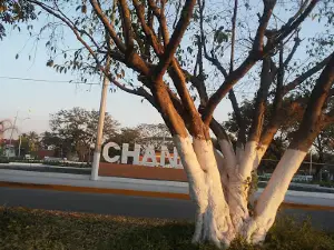 Jardin De Chandio