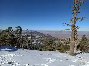 Belzma National Park