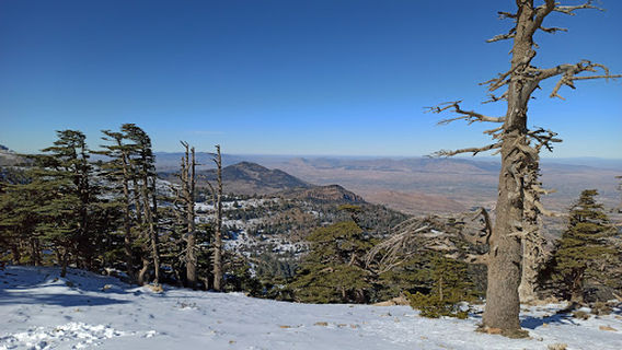 Belzma National Park