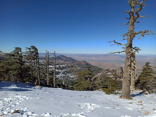 Belzma National Park