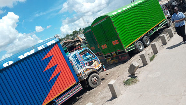 Jangwani Flood plain, Michikichini