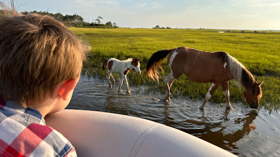 Captain Casey's Island Cruises L.L.C.