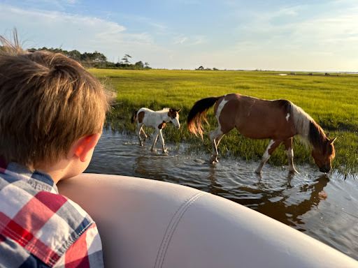 Captain Casey's Island Cruises L.L.C.