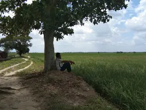 Wisata Bungaraya