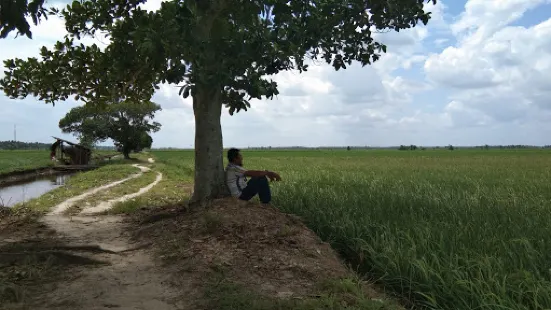 Wisata Bungaraya