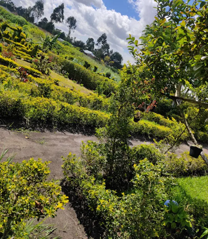 Mzuzu