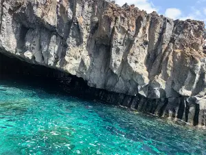 Centro de Buceo El Bajón