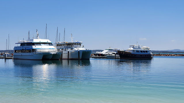 Port Stephens Kangaroo Encounters