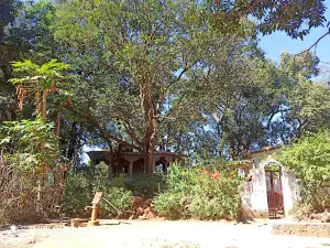 Hanuman temple Badariya Niwas