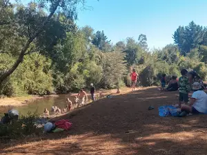 Río Quillen