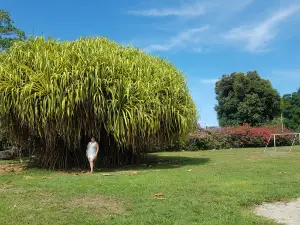 Glenda's Paradise