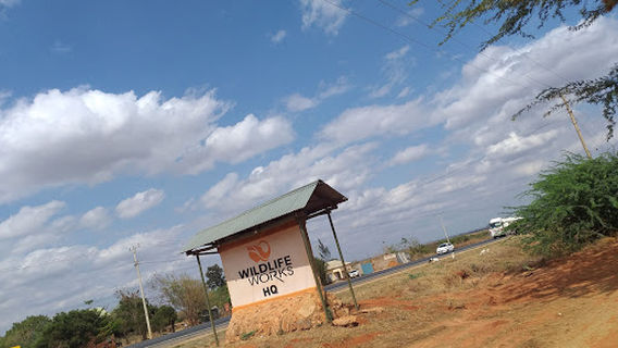 Rukinga Wildlife Sactuary