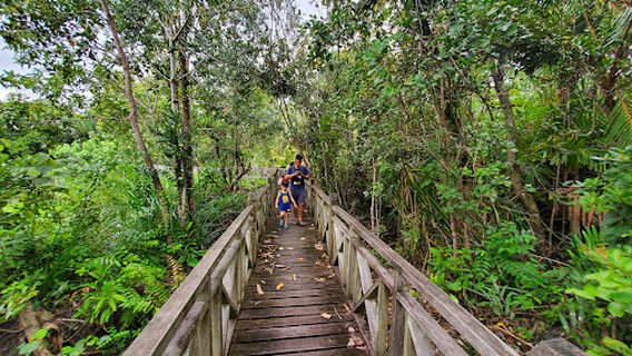 Limbang Mangrove National Park