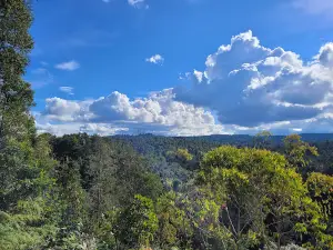 Comfama Parque Arvi Comfama