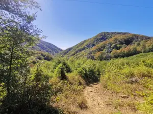 Свирское ущелье