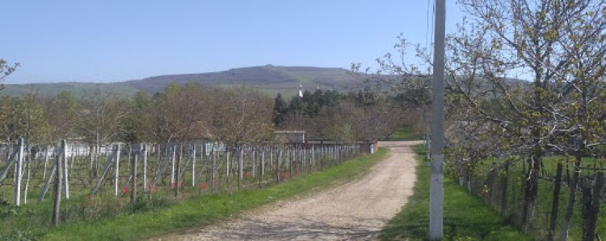 Stadion Ciolacu Vechi