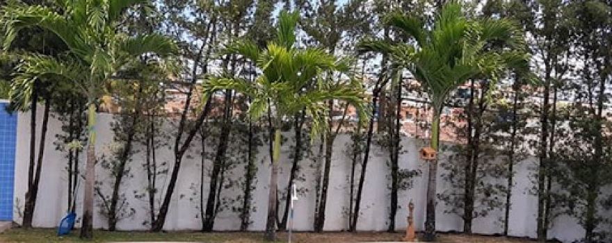 Rey House Maceió