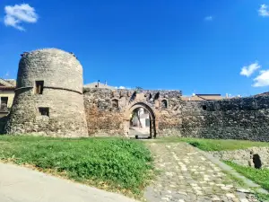Venosina Gate