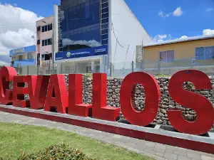 Cevallos