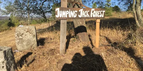 Jumping Jack Forest