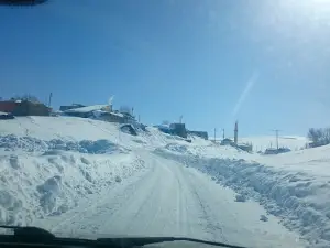 Kavurmacukuru Koyu Muhtarligi