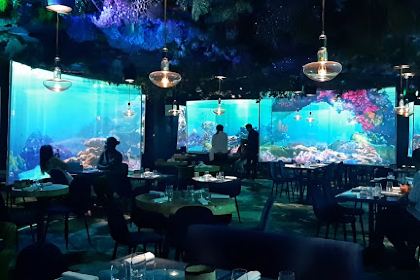 Ephemera Restaurant - Under the sea