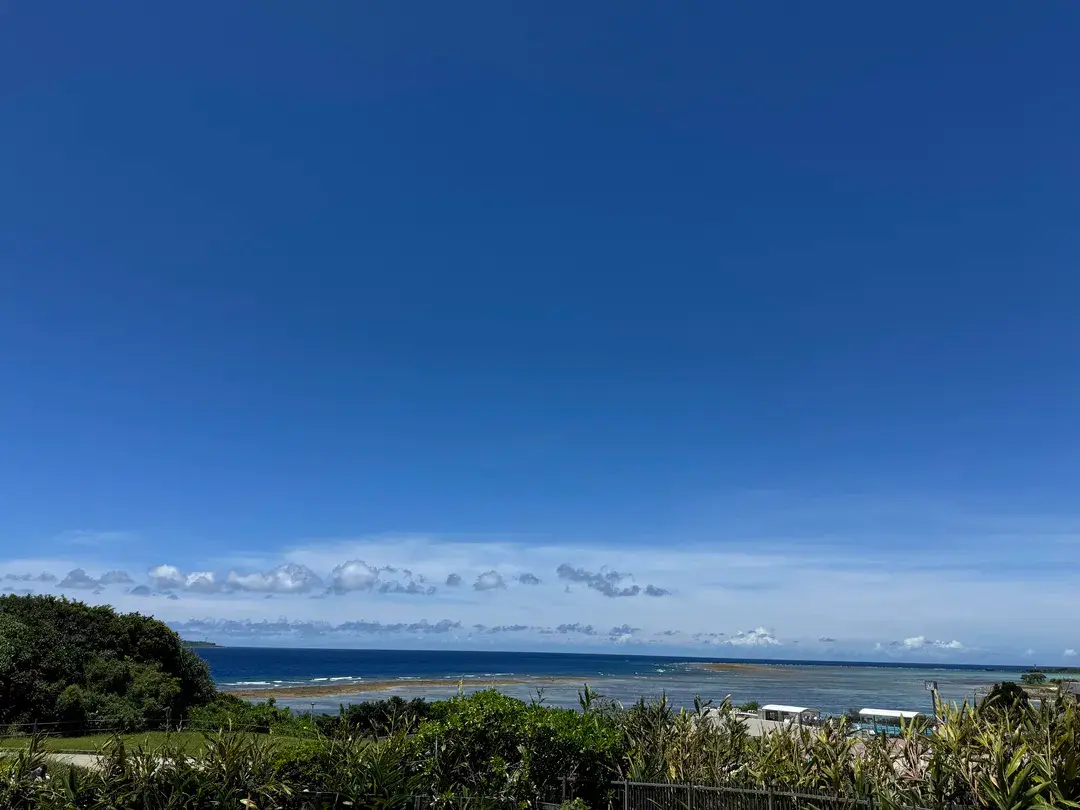 3_沖繩美麗海水族館
