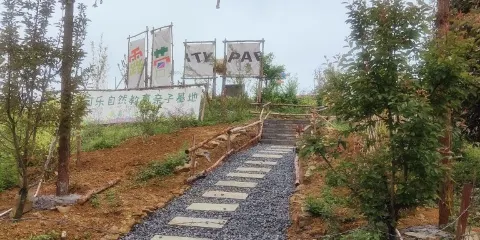 朗朗可樂山野露營基地