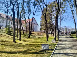 Tarasova Hora