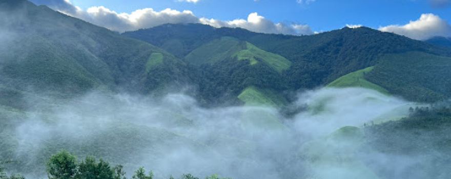 KM 4 Viewpoint