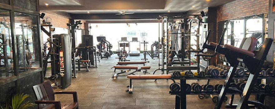 Elite fitline energym