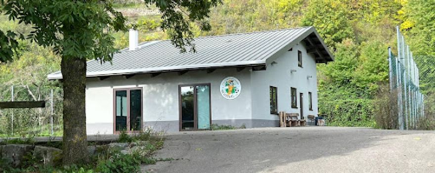 Tischfussballfreunde Neudenau e.V.