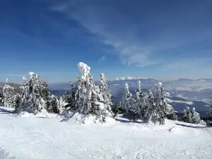 Kubínska