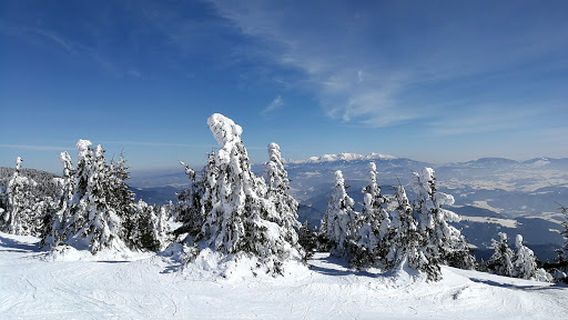 Kubínska