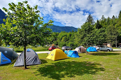 Camping Liza