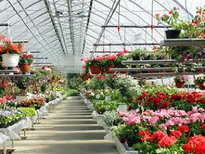 Tirilän Puutarha Ky