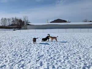 Mauston Dog Park