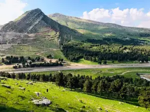 Şûray Tekiye - شورای تەکیە