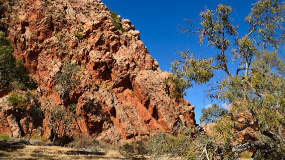 Alice Springs