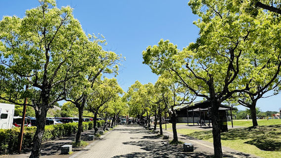 田邊市